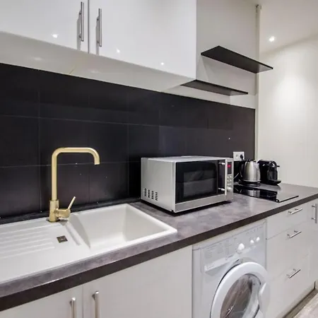 דירה 2 Pieces Moderne Et Climatise - Rue Meynadier קאן