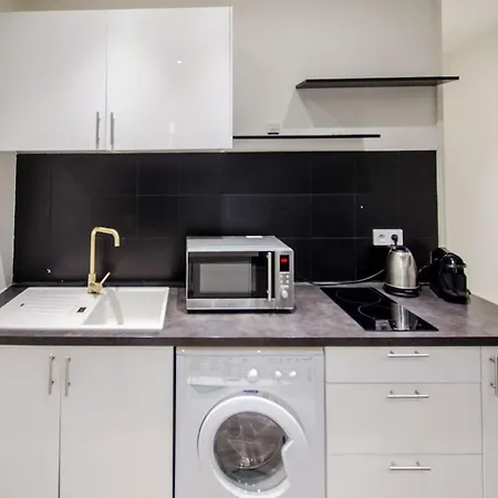 Daire 2 Pieces Moderne Et Climatise - Rue Meynadier *